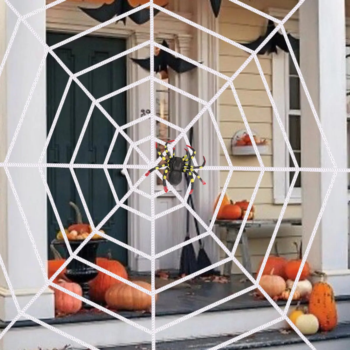 LED Halloween Giant Spider Web