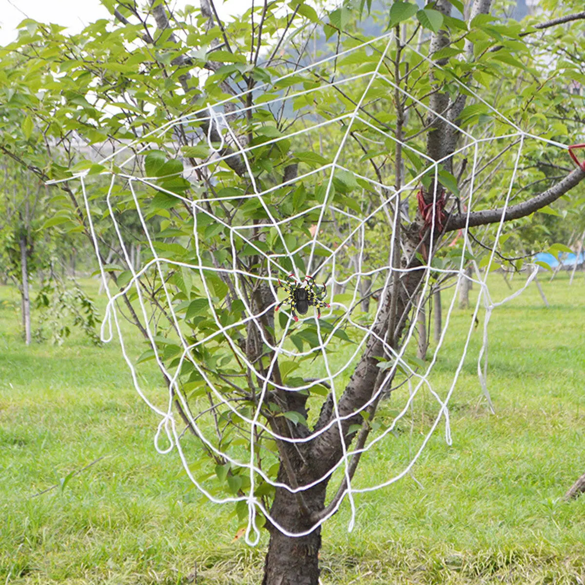 LED Halloween Giant Spider Web